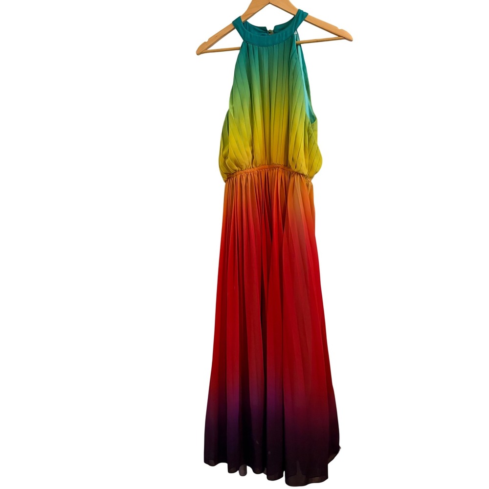 Paintcolors Rainbow Ombre Pleated Halter Maxi Dress Multicolor Large